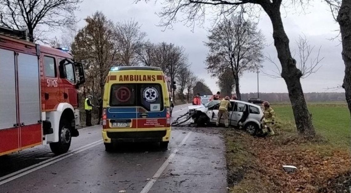 Auto uderzyło w drzewo. Droga powiatowa zablokowana wypadek na drodze powiatowej w Skokach. Auto rozbite