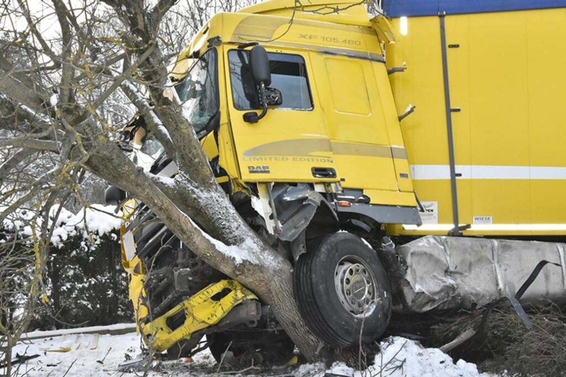 Biała Podlaska. Ciężarówka uderzyła w drzewo