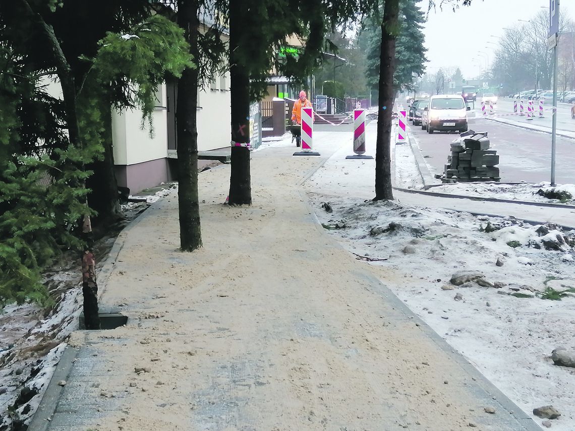 Biała Podlaska: Drzewa na środku chodnika. Jak wybrnąć z inwestycyjnej wtopy?