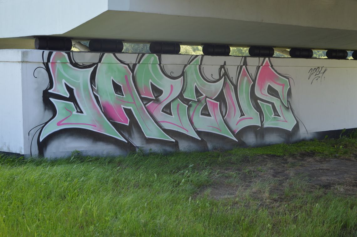 Biała Podlaska. Graficiarze złapani na gorącym uczynku [WIDEO, ZDJĘCIA]