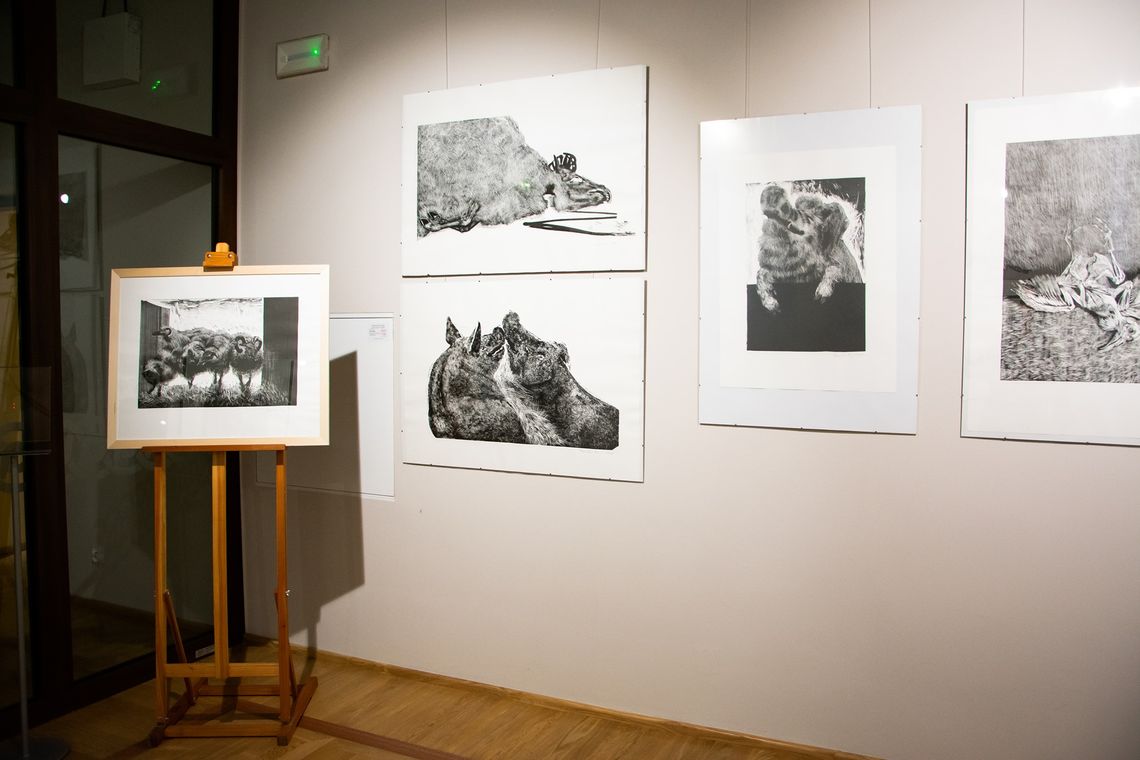 Biała Podlaska: Grafiki Baja w muzeum