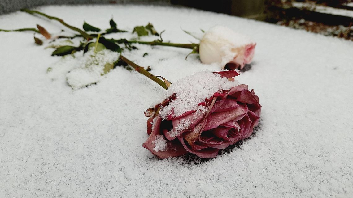 nekrologi pogrzeb śnieg róża biała podlaska międzyrzec podlaski