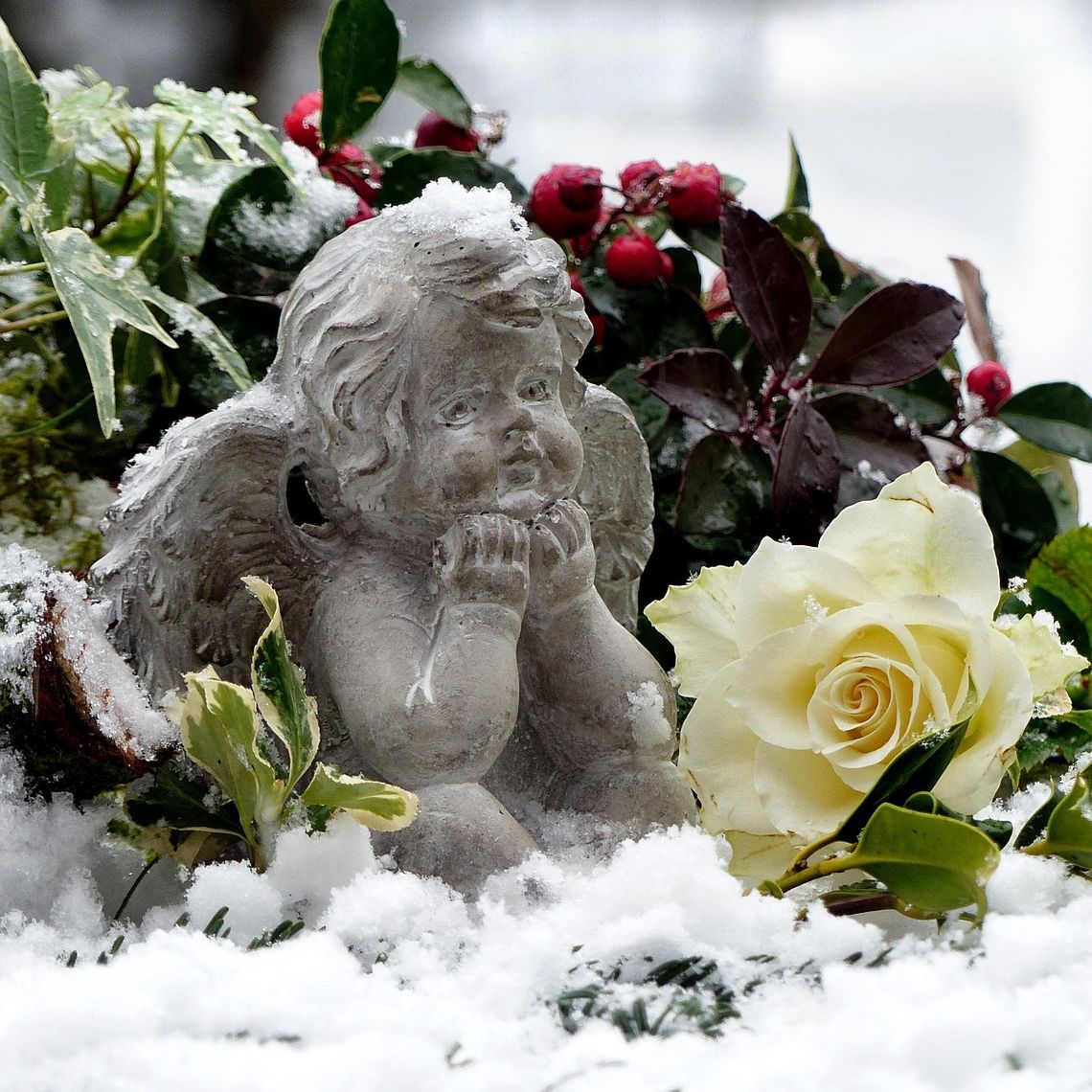 Biała Podlaska. Odeszli do wieczności [08-02-2026]