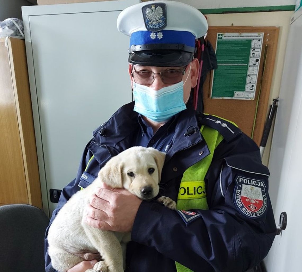 Biała Podlaska: Policjanci uratowali szczeniaka