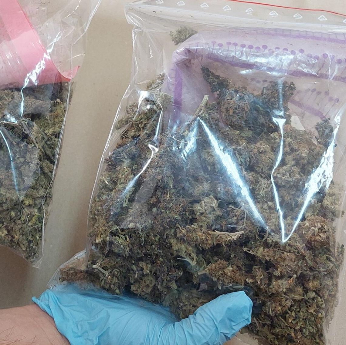 Biała Podlaska. Ponad 400 porcji marihuany w mieszkaniu. Policja uderza w narkobiznes