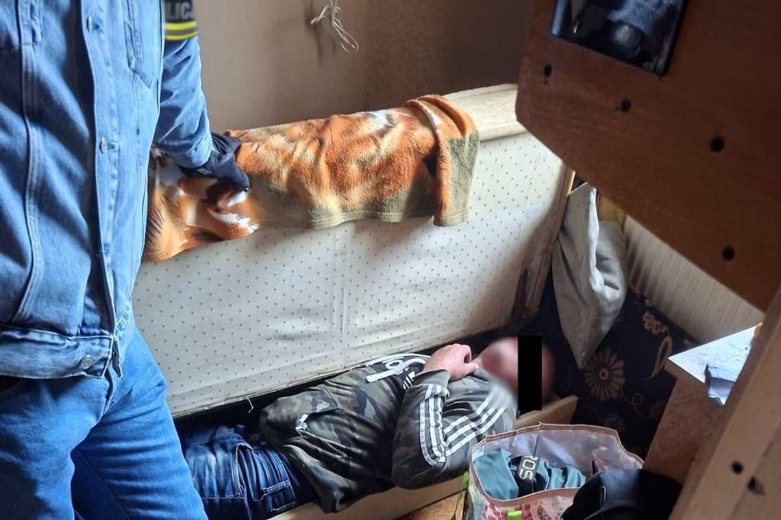 Biała Podlaska. Schował się w wersalce i udawał, że śpi Biała Podlaska. Schował się w wersalce i udawał, że śpi