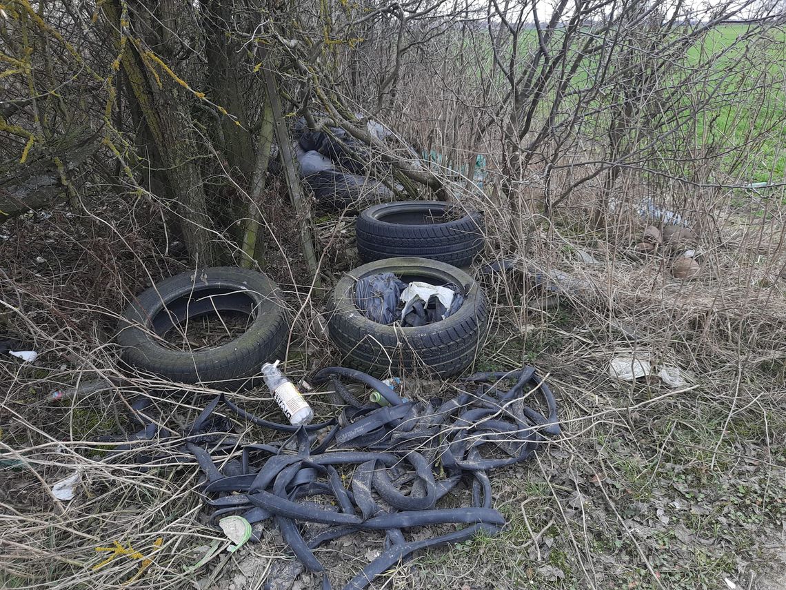 Biała Podlaska. Śmieciowy poligon na Kolonii Francuskiej [ZDJĘCIA]