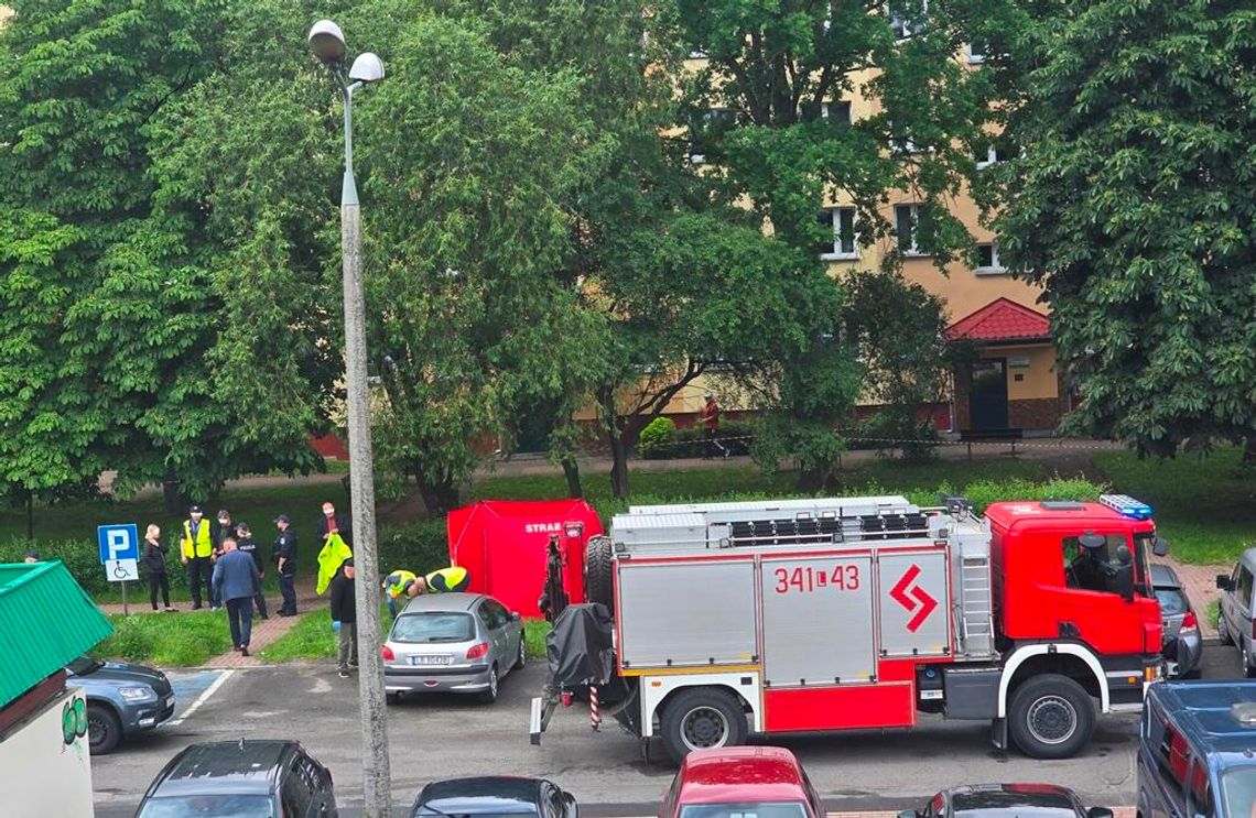 Biała Podlaska: To była egzekucja w biały dzień Biała Podlaska: To była egzekucja w biały dzień