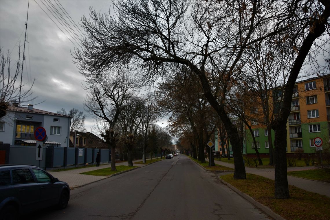 Biała Podlaska: Zagrażają nam suche konary