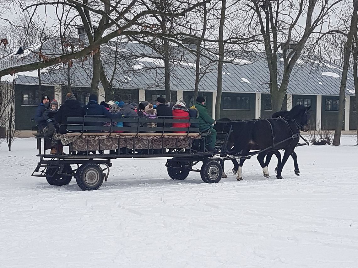 Biała Podlaska: Zawodowe rodziny zastępcze dostaną więcej