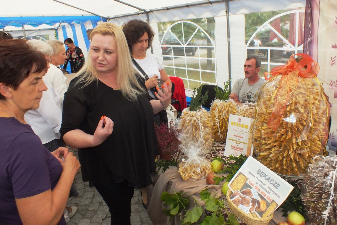 Bialski Festiwal Sękaczy. Tym razem w Janowie Podlaskim