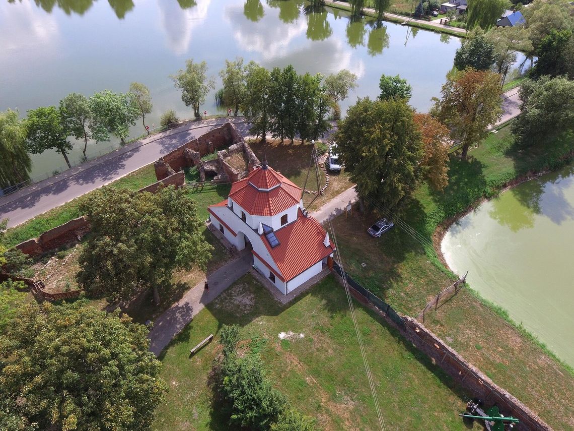 GMINA CZEMIERNIKI: Topola mogła pamiętać Firlejów. Niszczą ją bobry