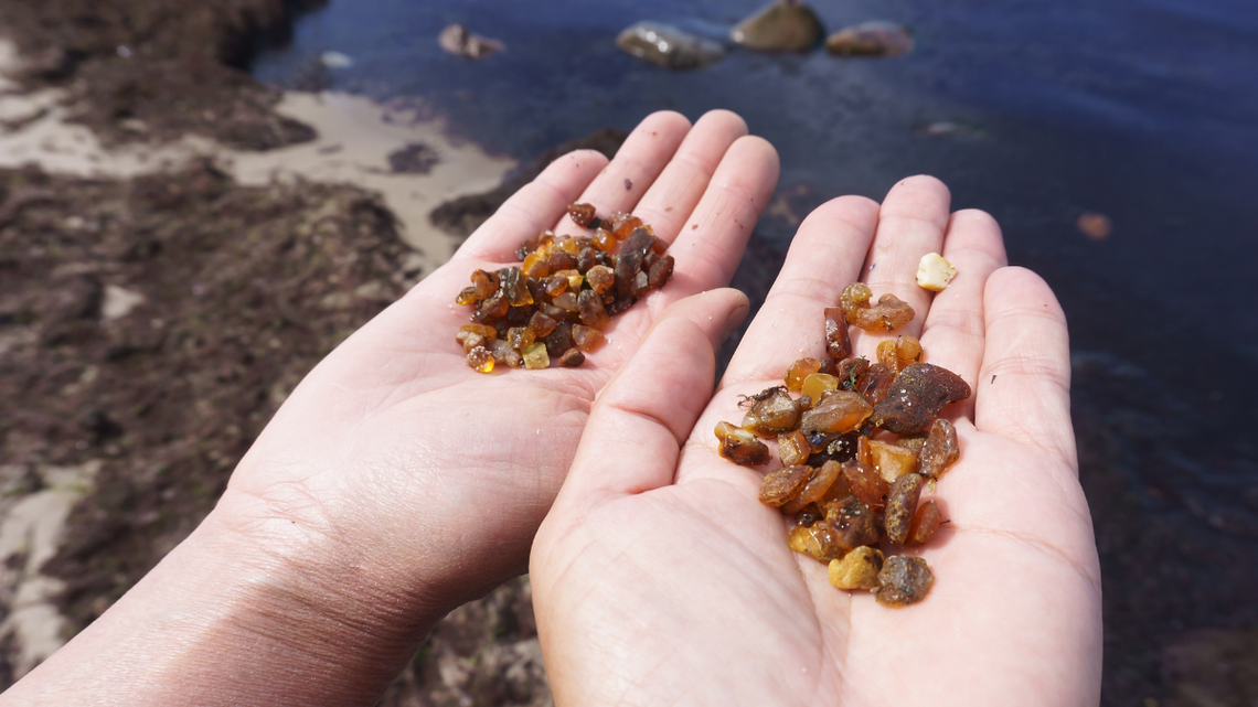 Plażowiczów zastąpili poszukiwacze [FILM]