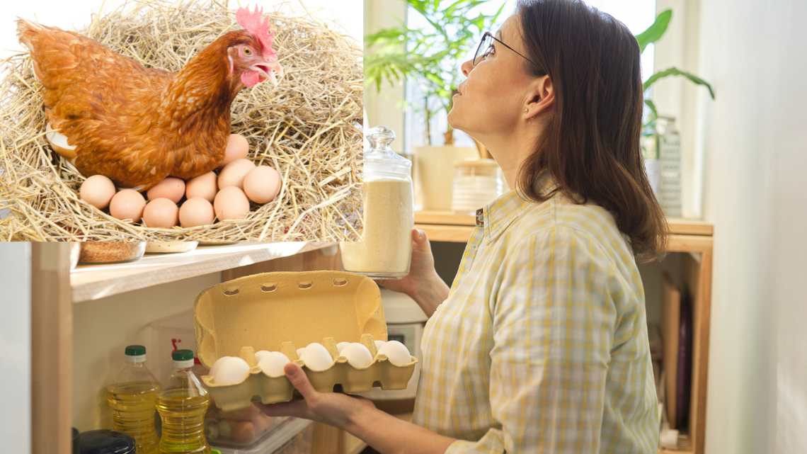 Ceny jaj poszybowały. I na razie nie mamy co liczyć na obniżki