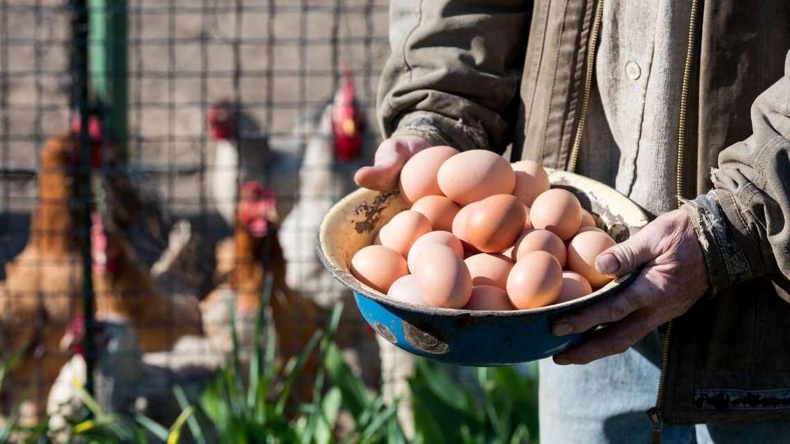 Ceny jaj przed Wielkanocą 2026