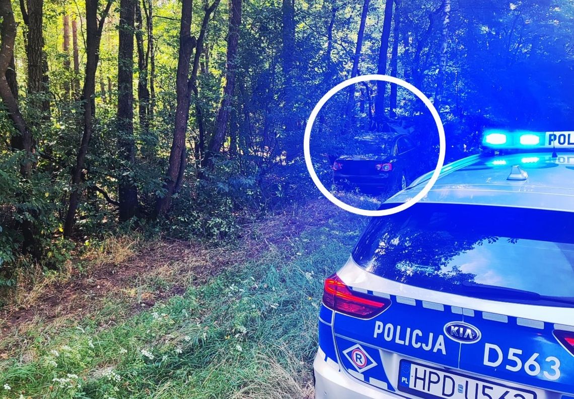 Chciał ominąć sarnę, uderzył w drzewo. 19-latek z Sosnowicy trafił do szpitala [ZDJĘCIE]