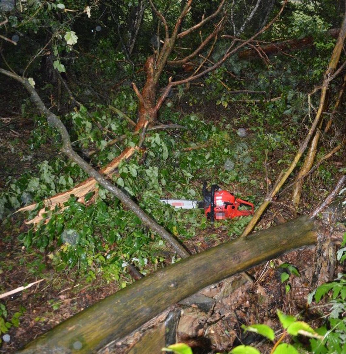 Chciał uprzątnąć szkody po burzy. Zginął pod drzewem