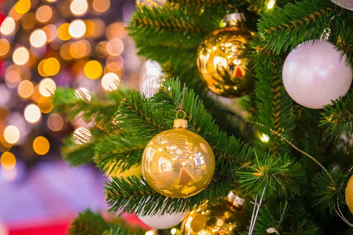 Co zrobić z choinką, kiedy skończy się Boże Narodzenie? Wskazówki Lasów Państwowych Co zrobić z choinką, kiedy skończy się Boże Narodzenie? Wskazówki Lasów Państwowych