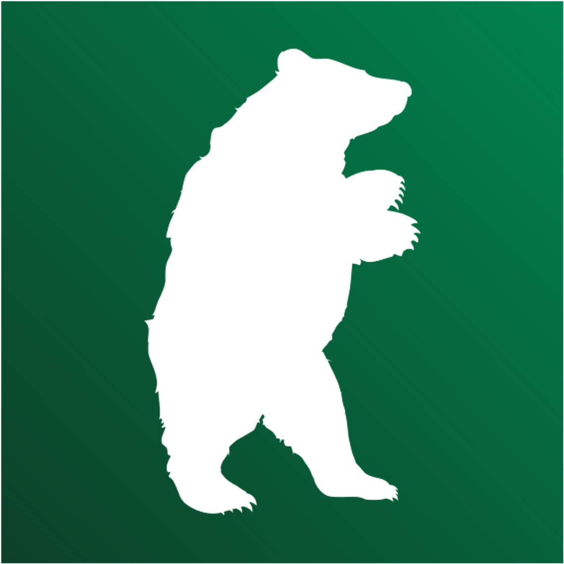 Czas na głosowanie w plebiscycie Niedźwiedzie Biznesu!