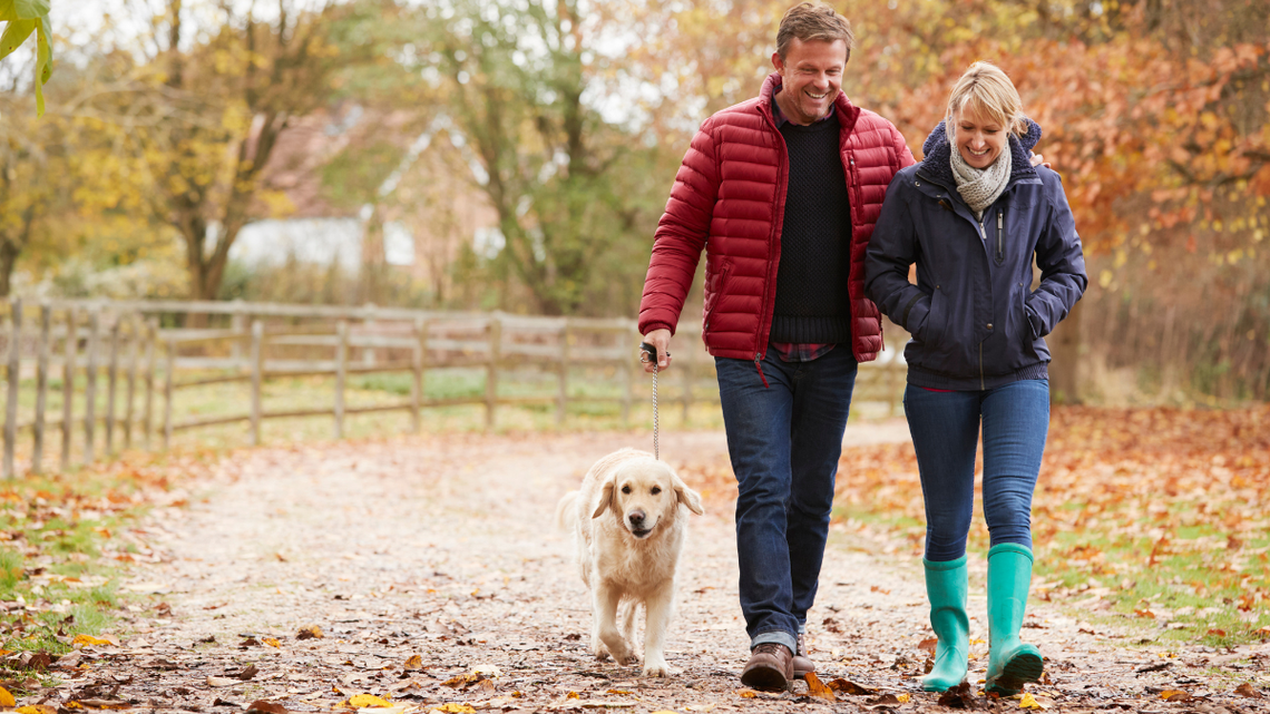 Długi weekend w listopadzie Długi weekend w listopadzie