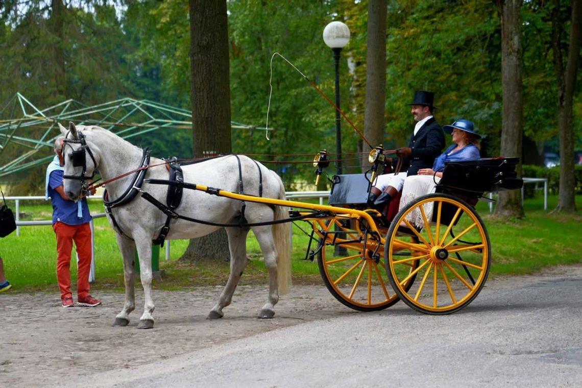 Dni Konia Arabskiego w Janowie Podlaskim. Są pierwsze werdykty [GALERIA ZDJĘĆ]