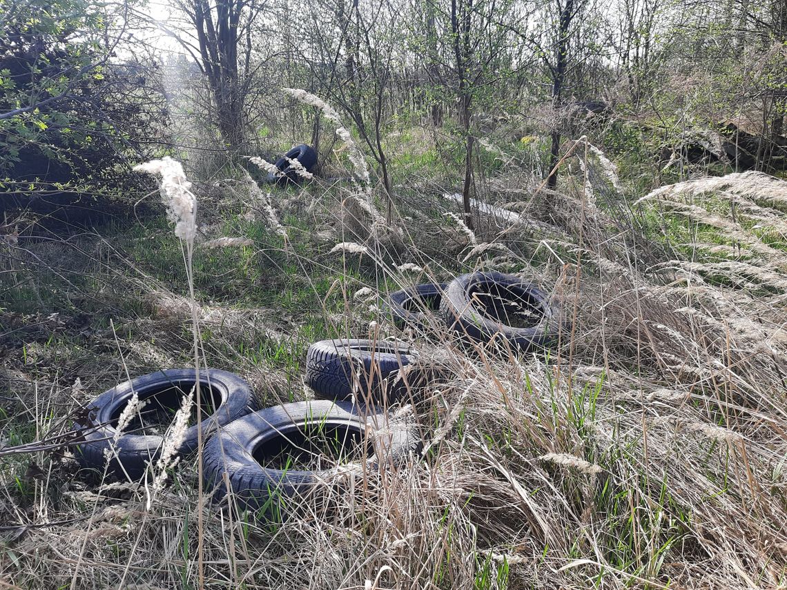 kolonia francuska dzikie wysypisko śmieci biała podlaska opony