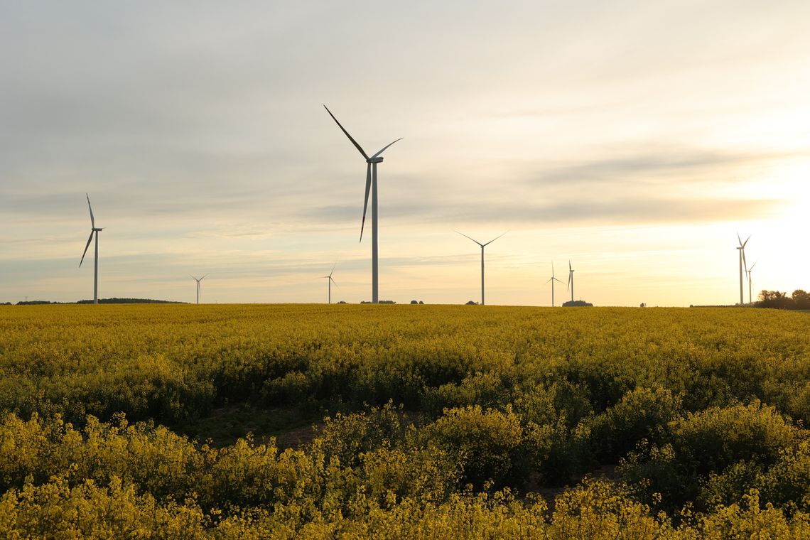 Farmy wiatrowe napędzają regionalną gospodarkę