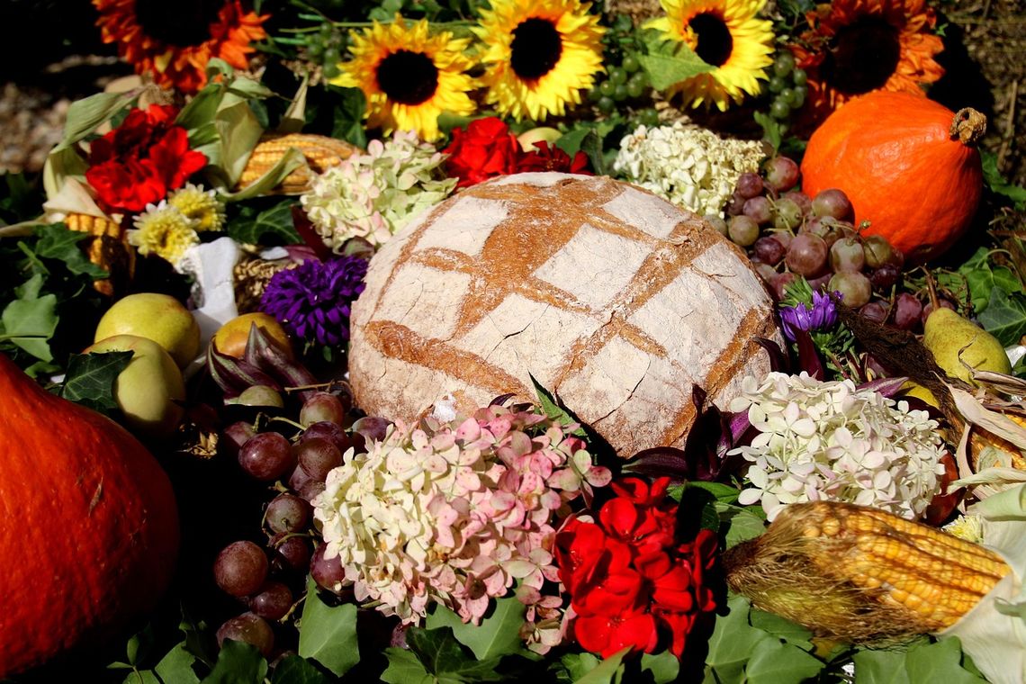 Gdzie na dożynki w powiecie łosickim? Sprawdź harmonogram tegorocznego święta plonów Gdzie na dożynki w powiecie łosickim? Sprawdź harmonogram tegorocznego święta plonów