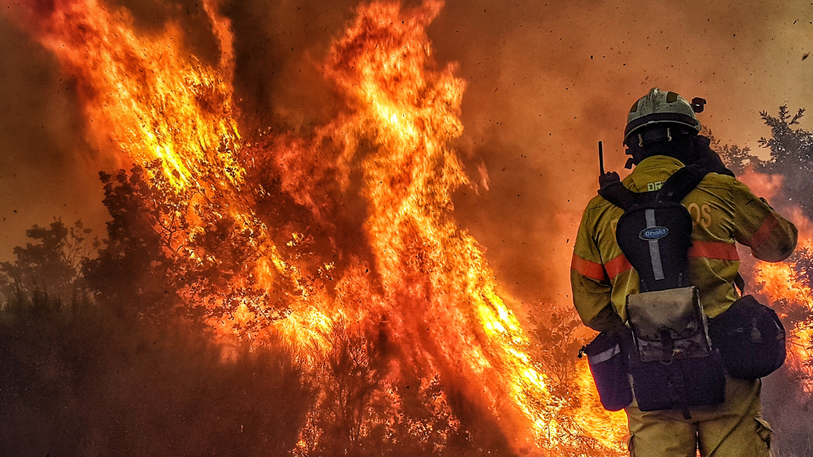 Gigantyczna kara za wypalanie traw Gigantyczna kara za wypalanie traw
