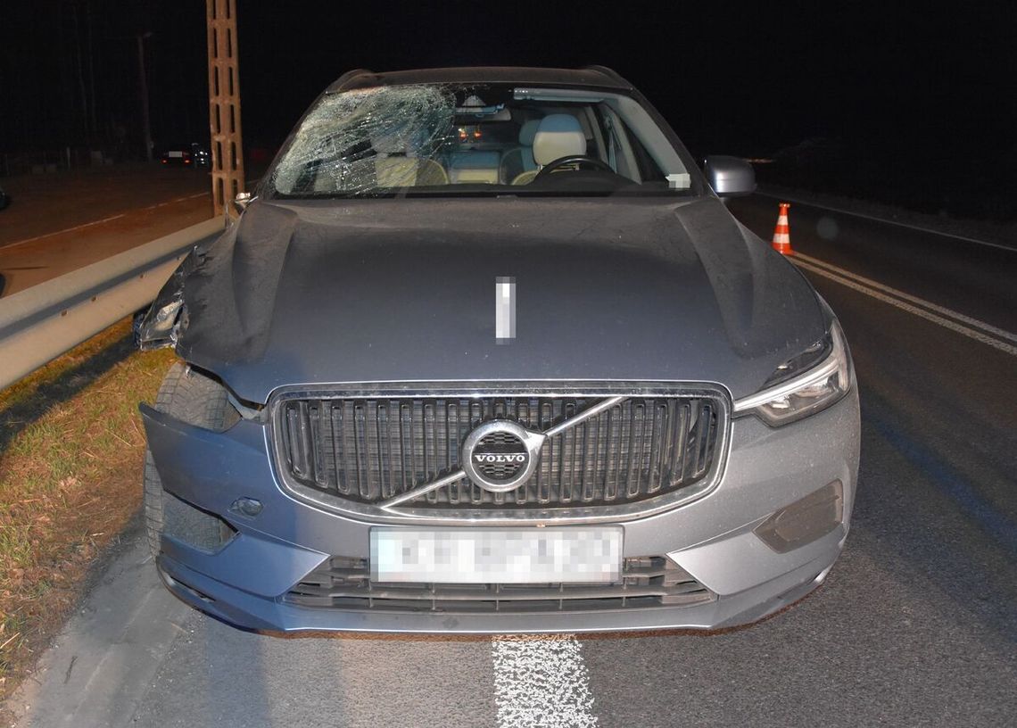 Gmina Borki. Potrącenie pieszego na drodze krajowej nr 19