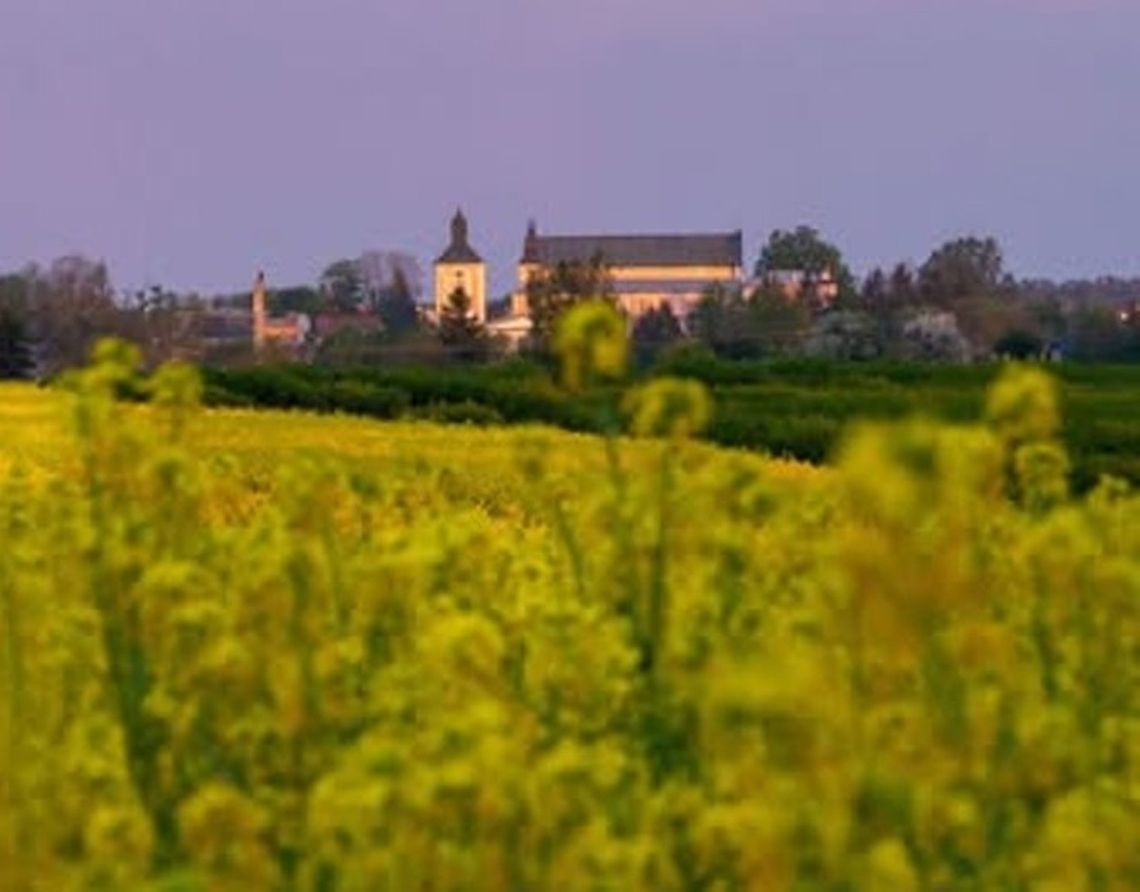 Gmina Janów Podlaski. Weź udział w konkursie fotograficznym