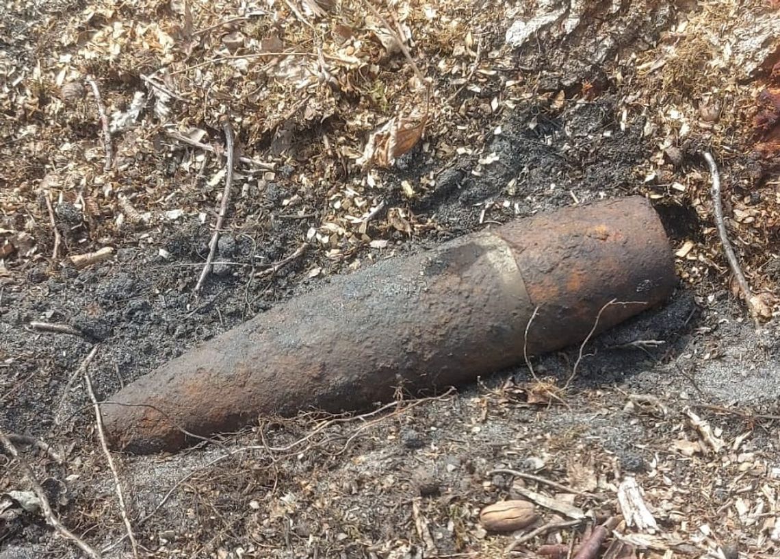 Gmina Kąkolewnica. Pocisk z II wojny światowej w lesie