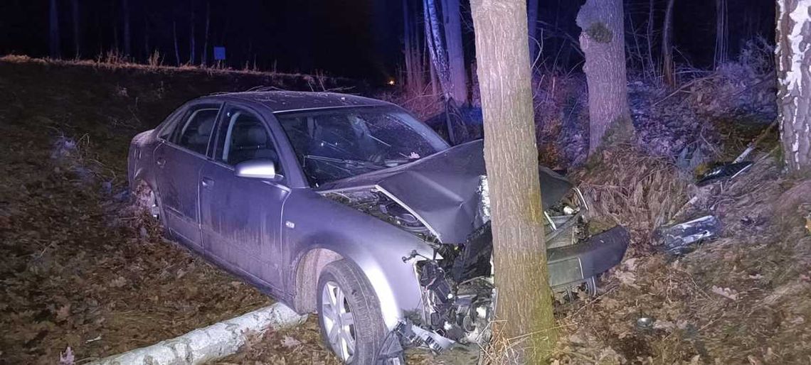 Gmina Radzyń Podlaski. Zderzenie z łosiem. 18-latka w szpitalu