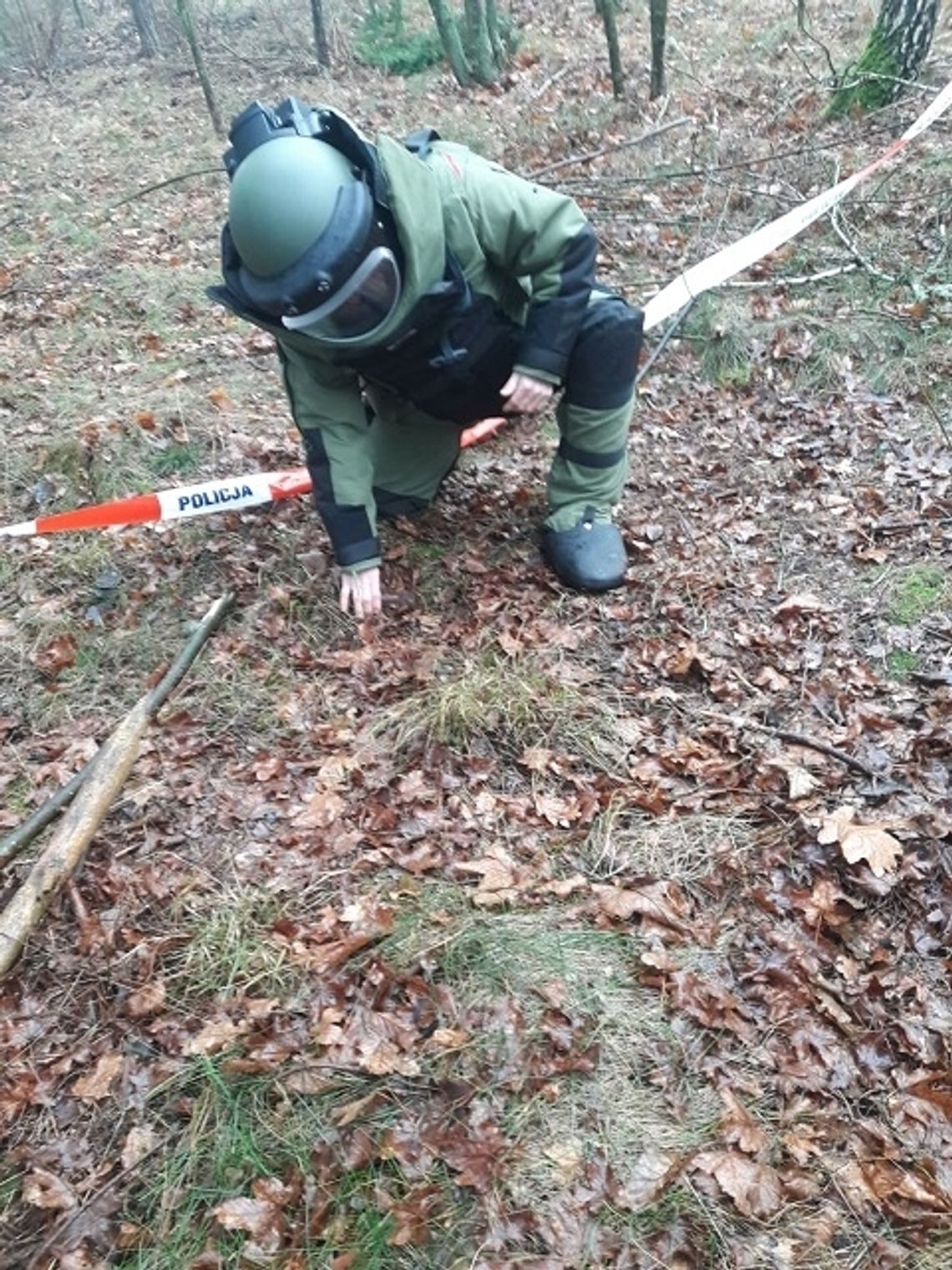 Gmina Rokitno: Bomba znaleziona w lesie