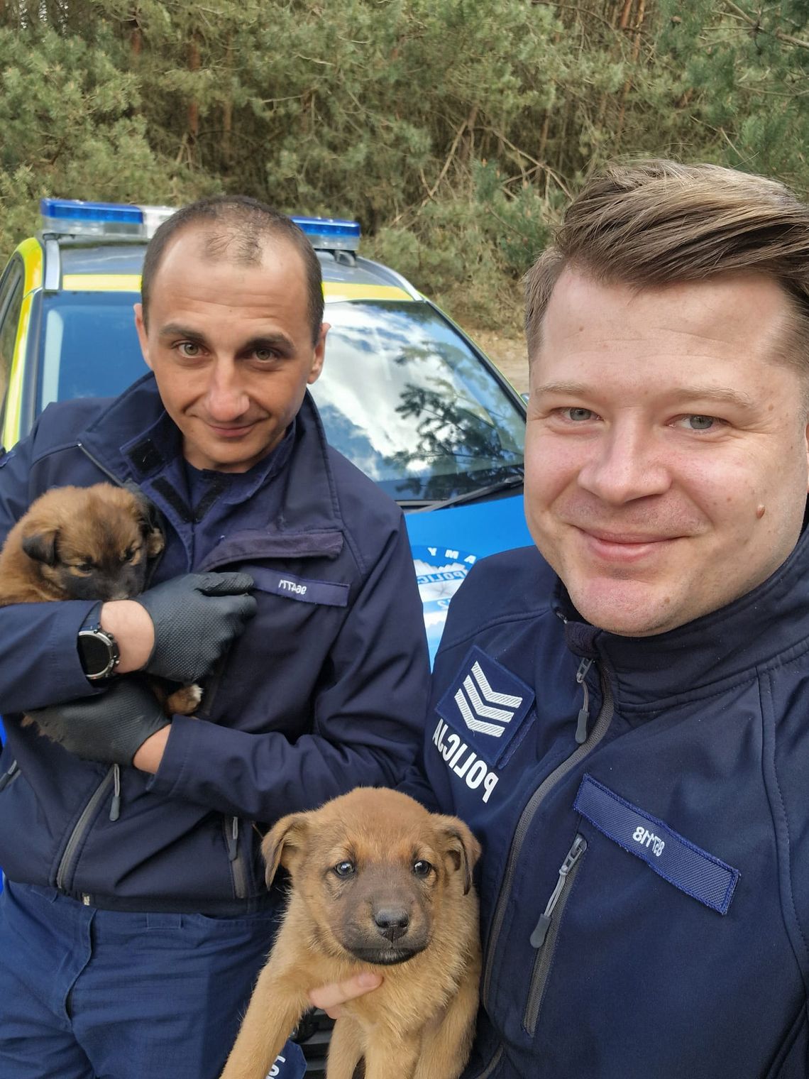 Gmina Sarnaki: Dzielnicowi uratowali szczenięta