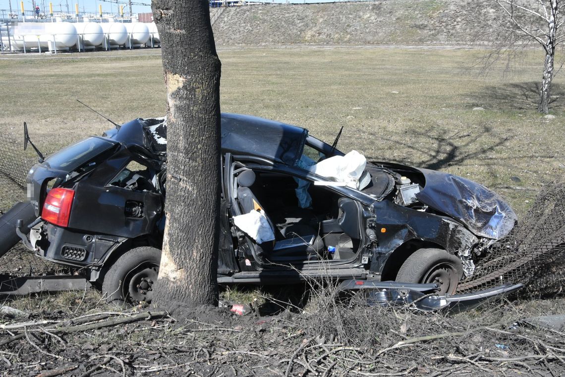 Gmina Terespol: Pijany kierowca zakończył jazdę na drzewie