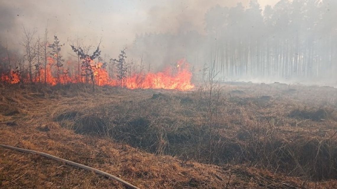Gmina Tuczna: Spłonęły 33 ha lasu