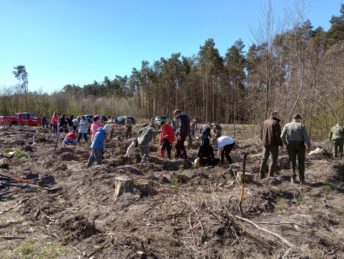 Gmina Zalesie. Razem sadzili przyszłość!