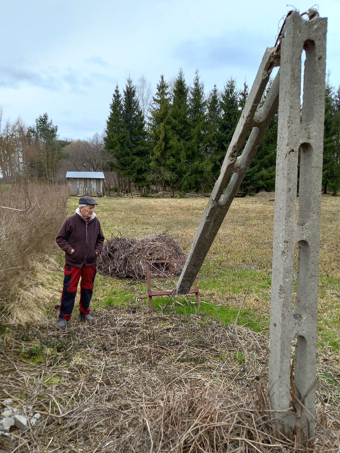 Gniazdo zniszczone, a para bocianów wraca. Jaki los czeka te ptaki?