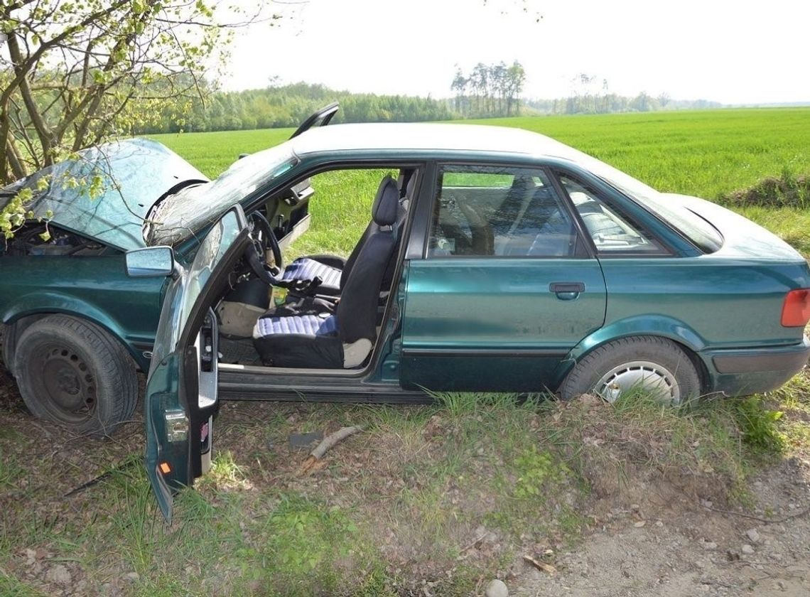 Jazdę zakończył na drzewie