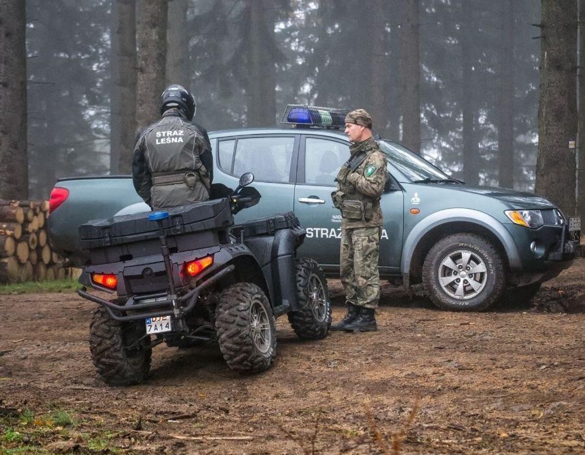 Jedziesz autem na grzyby? Uważaj, w lasach ruszają kontrole Jedziesz autem na grzyby? Uważaj, w lasach ruszają kontrole