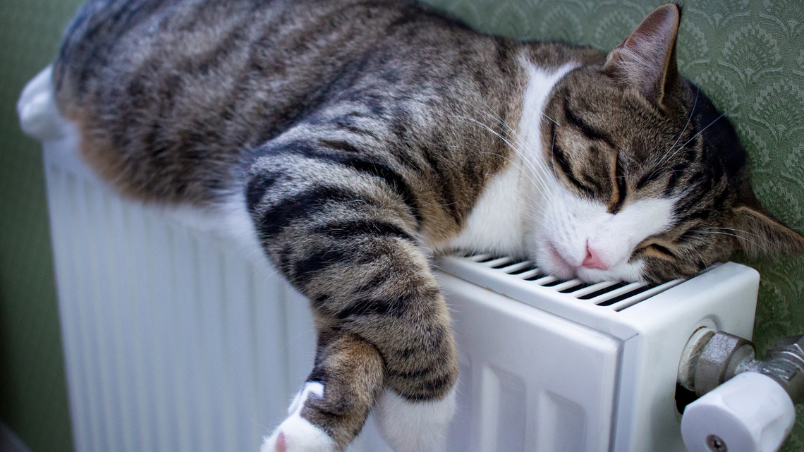 Już od dziś można składać wnioski o bon ciepłowniczy Już od dziś można składać wnioski o bon ciepłowniczy