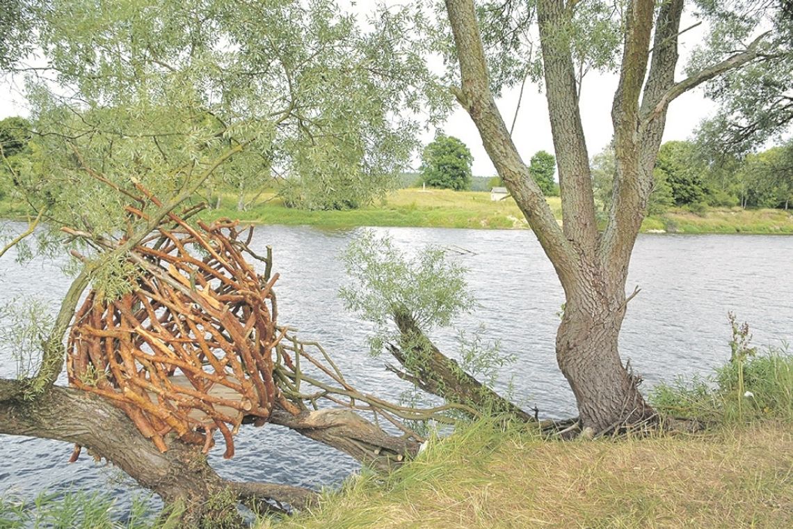 Już wkrótce festiwal "Land Art na granicy" w Sławatyczach