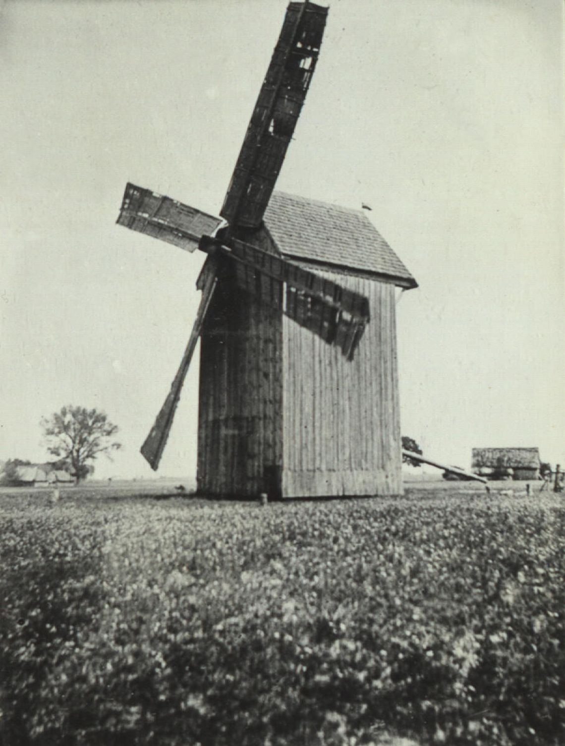 Śmierć od młyńskiego kamienia. „Synowi młynarza brzuch rozpruło”