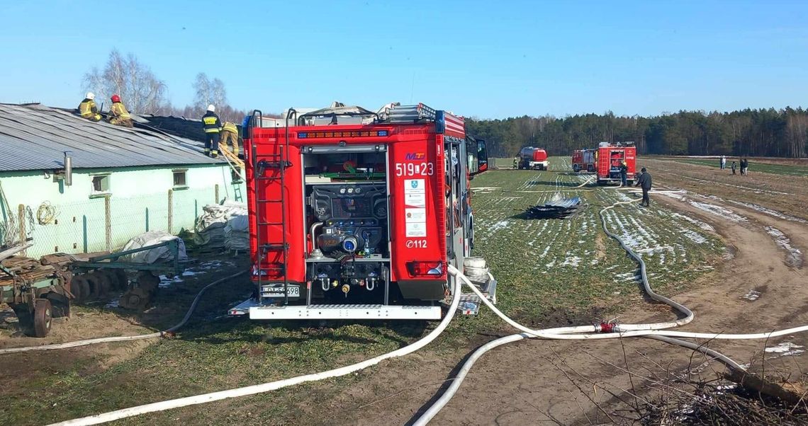 Kilkaset tysięcy strat po pożarze kurnika