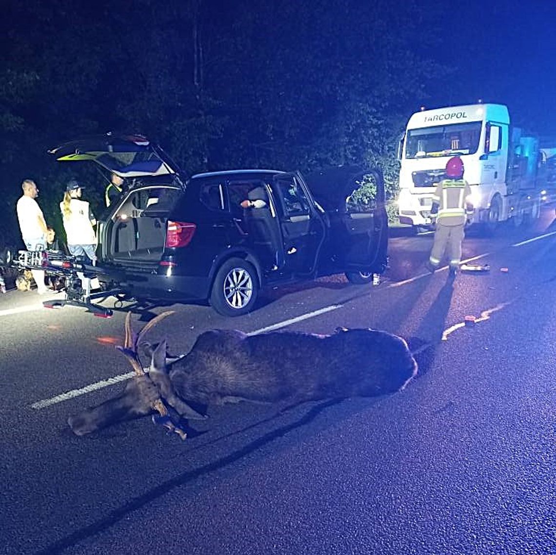 Kolizja z łosiem sparaliżowała ruch na krajowej „dwójce” [ZDJĘCIE]