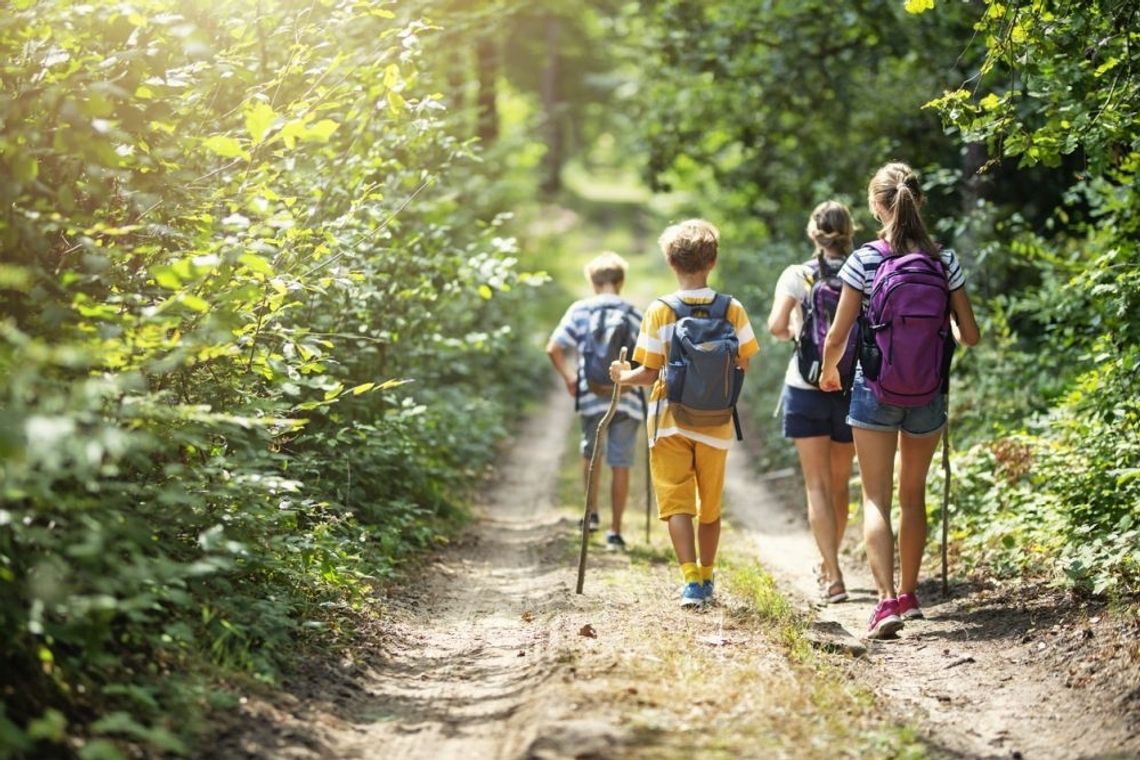 Kolonie i obozy wakacyjne po nowemu. Zakaz odwiedzin, restrykcje w odprowadzaniu Kolonie i obozy wakacyjne po nowemu. Zakaz odwiedzin, restrykcje w odprowadzaniu