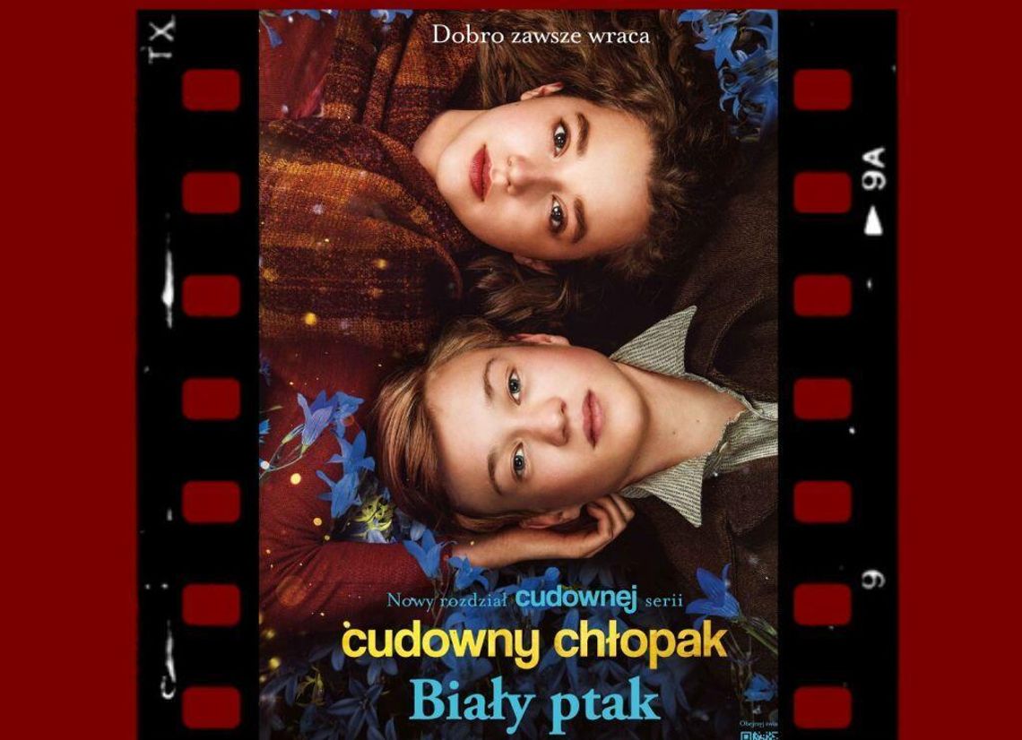 Konstantynów. Kino plenerowe w Parku Platerów Konstantynów. Kino plenerowe w Parku Platerów