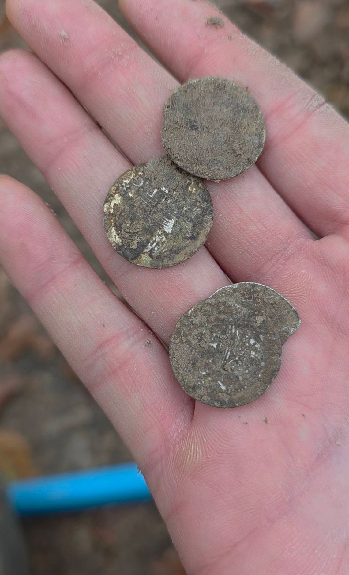 LUBELSKIE: Znaleźli srebrny skarb sprzed 400 lat!