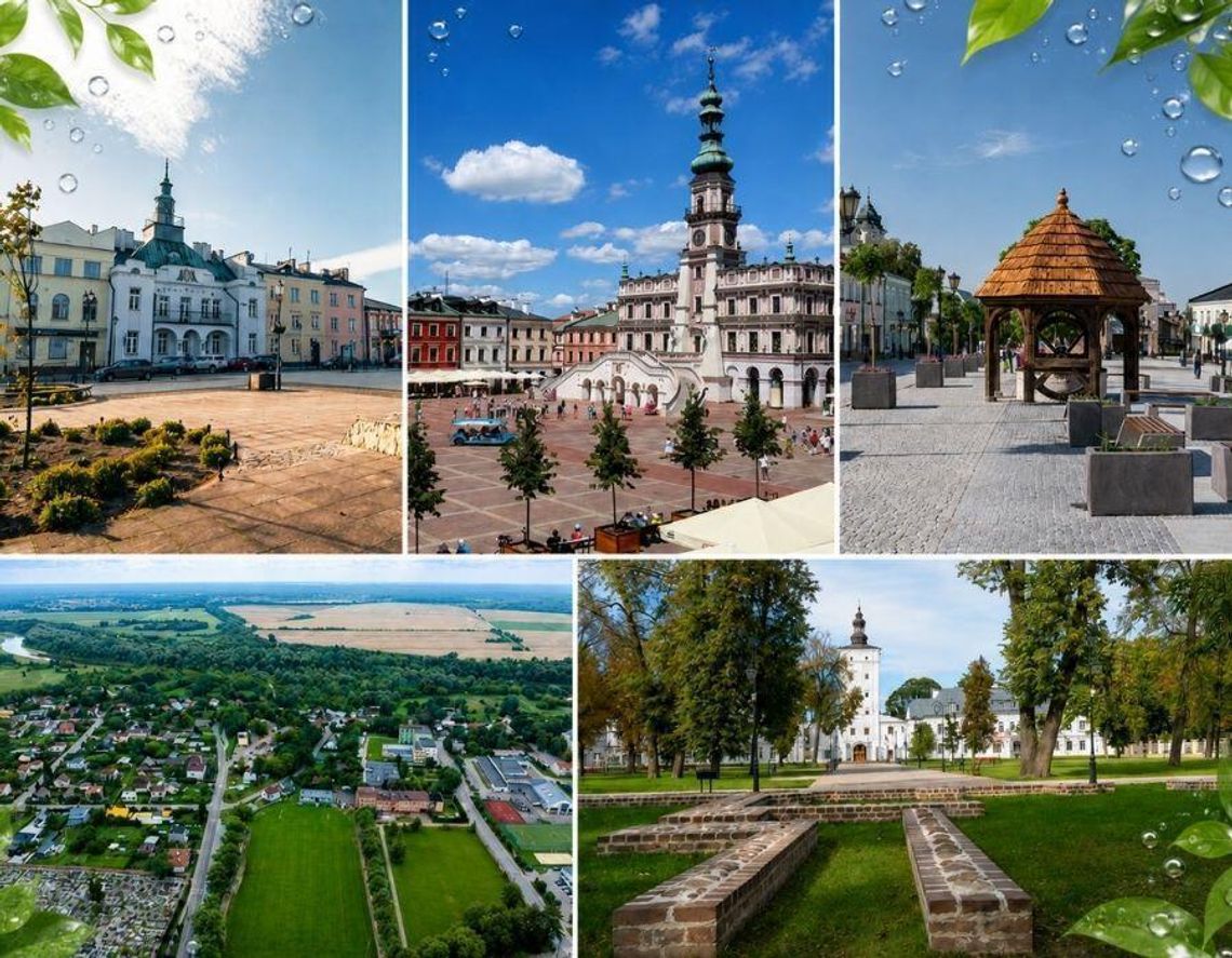 Kto najlepiej radzi sobie z betonozą? Biała Podlaska liderem wśród miast powiatów Chełm, Zamość, Biała Podlaska oraz mniejsze miasta regionu w zestawieniu COOLCITY Index 2026.
